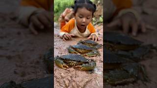 Survival Skills Giant grabs catching skills survival camping bushcraft outdoors crab [upl. by Turnheim]