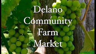 Delano Community Farm Market [upl. by Millford]