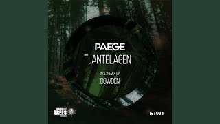 Jantelagen Dowden Remix [upl. by Hannahoj]