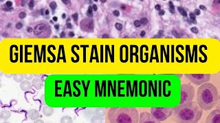 Giemsa StainOrganismsEasy Mnemonic [upl. by Htebasil]