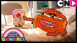 O Vaso  O Incrível Mundo de Gumball  Cartoon Network [upl. by Geminian304]