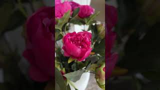 FAUX PEONY BUSH DARK PINK [upl. by Buchheim550]