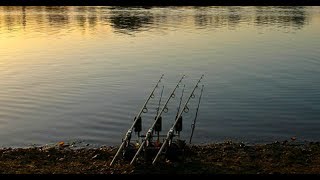 Linear Fisheries  The Number One Day Ticket Carp Water [upl. by Rubbico356]