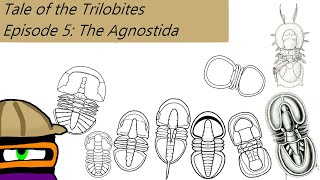 The Tale of The Trilobites Ep 5 The Agnostida [upl. by Weidar515]