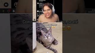 GATO FALANTE mdmdaiane shorts humor [upl. by Junieta]