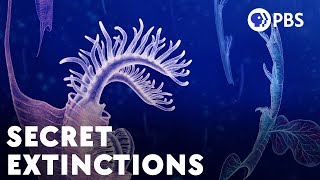 The Huge Extinctions We Are Just Now Discovering [upl. by Uolymme]