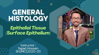 Epithelial Tissue Surface Epithelium  Histology Basic Lecture  Explained in Bangla [upl. by Krisha]