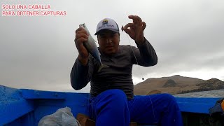 MIRA LA PESCA QUE OBTUVIMOS CON UNA SOLA CABALLA  CALLAO [upl. by Marnie]