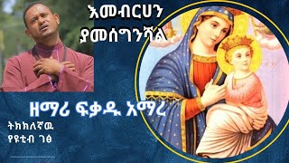 እመብርሃን ያመሰግንሻል ዘማሪ ፍቃዱ አማረ መዝሙር emebrehan yamesegneshal mezmur by zemari fekadu amare  audio [upl. by Gelasias934]