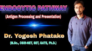 Endocytic Pathway Antigen processing and presentation Explained by Dr Yogesh [upl. by Anirbus426]