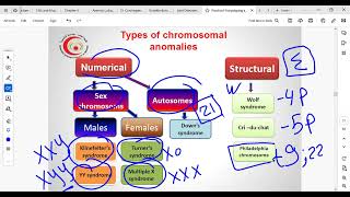 practical of karyotyping [upl. by Far]