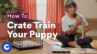 How To Crate Train a Puppy  Chewtorials [upl. by Mckee]