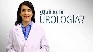 Introducción a la Urología  Urology Care Foundation [upl. by Moshell]