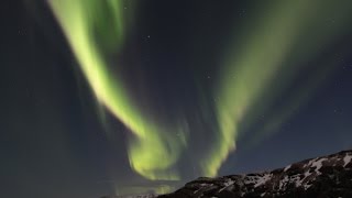 AURORA BOREALIS  Polarlichter über Island c Falk Sischka [upl. by Ado756]