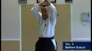 Aikido  7 bokken suburi Dunken Francis [upl. by Babby]