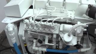 Cummins Marine 6BTA 370 Diamond Engine Test for Waleed  Port Engine [upl. by Hayyim]