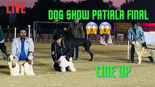 Live Line Up Kennel Club of India Dog Show Patiala 2023😱  Bhola Shola [upl. by Waxler]