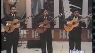 Alma corazón y vida • Los Embajadores Criollos 2001 [upl. by Nivek41]