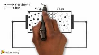 How does a Diode Work A Simple Explanation  How Diodes Work  Electrical4U [upl. by Yolane]