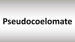 How to Pronounce Pseudocoelomate [upl. by Ollehto]