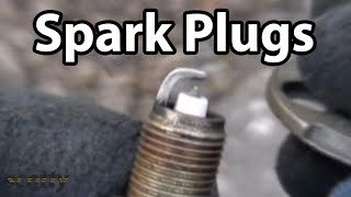 How To Change Spark Plugs [upl. by Biernat]