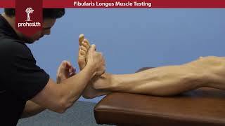 Fibularis Longus Muscle Test Palp Dr Vizniak Muscle Manual [upl. by Llenram]