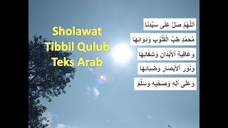 Tibbil Qulub Lirik teks arab dan terjemah [upl. by Ulick]