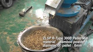 Making Your Own Wood Pellets with GEMCO Pelletizing Machine for Your Home [upl. by Kyre]