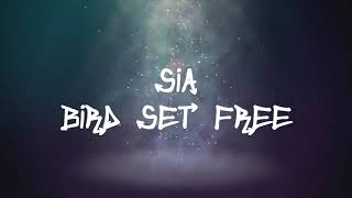 Sia  Bird Set Free Lyrics [upl. by Blynn]