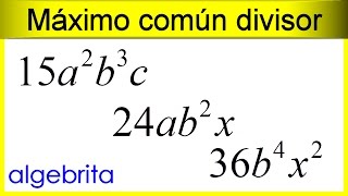 Máximo común divisor de monomios 384 [upl. by Jilleen]