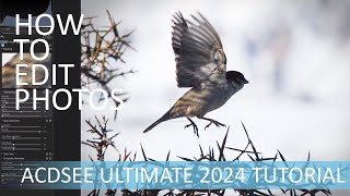 How to Edit Photos in ACDSee Ultimate 2024  A Beginners Guide [upl. by Poul]