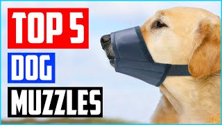 Best Dog Muzzles to Prevent Biting of 2023 Review  Top 5 Picks [upl. by Rednas]