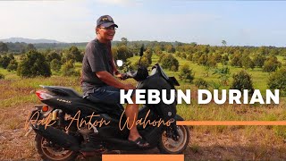 Irjen Pol Purn Drs Anton Wahono PENGGAGAS KEBUN DURIAN DI BANGKA [upl. by Amii325]