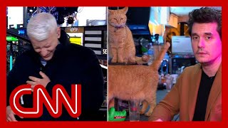 Anderson Cooper completely loses it as John Mayer dials in from a cat bar [upl. by Garbe]