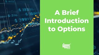 Brief Introduction to Options Trading  QuantInsti [upl. by Beckie]