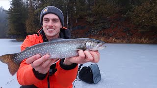 Ice Fishing on SECRET Backcountry Lakes for Splake [upl. by Zarah]