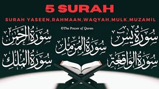 Punj Surahپنج سورۃTilawat E Quran  Surah YaseenRehmanWaqiahMulkMuzamil Holy Quran Recitation [upl. by Ettolrahs]