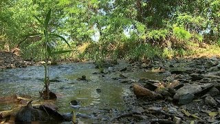 Natural Stream Restoration Streams in Nature Part I [upl. by Atiken200]