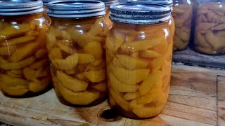 Canning peaches and making fruit leather [upl. by Ythomit]