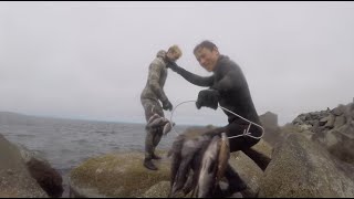 Spearfishing at the Westport Jetty on a Choppy Day [upl. by Ecinuahs]