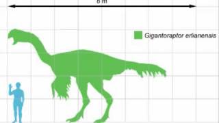 Prehistoric Size Comparison [upl. by Zanlog]