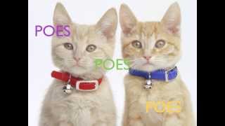 POES [upl. by Ammeg]