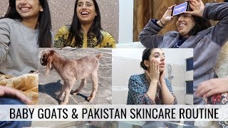 Family Fun Baby Goats amp Skincare Routine  PAKISTAN VLOG [upl. by Lilhak]