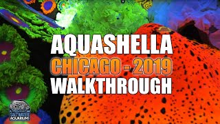 Aquashella  Chicago 2019 Aquarium Festival Walkthrough [upl. by Ertnom728]