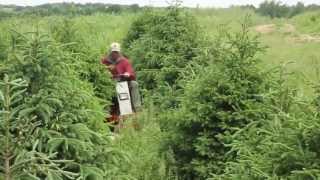 Tree Farm Mowing with Ventrac [upl. by Nessaj]