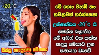 ඔබ මේවා දකින්නේ ජිවිතේ පළමු වතාවට EP308 [upl. by Batista]