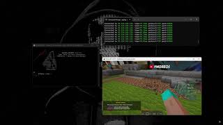 SILENCE C2 VS Minecraft Server  CHEAP PRICES  BEST BOTNET amp C2 2024 [upl. by Willard878]