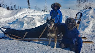 Winter Camping in Alaska with a Sled Dog Team [upl. by Mossberg]