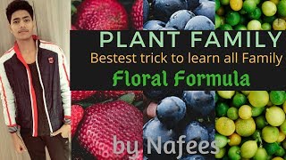 Tricks to learn Plant Family and its floral formula Morphology of flowering plant [upl. by Enorel]