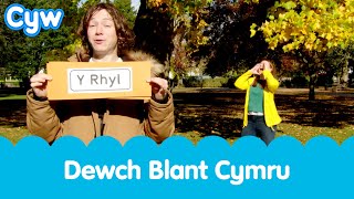 Cân Dewch Blant Cymru  Welsh Childrens Dancing Song  Cyw [upl. by Deonne29]